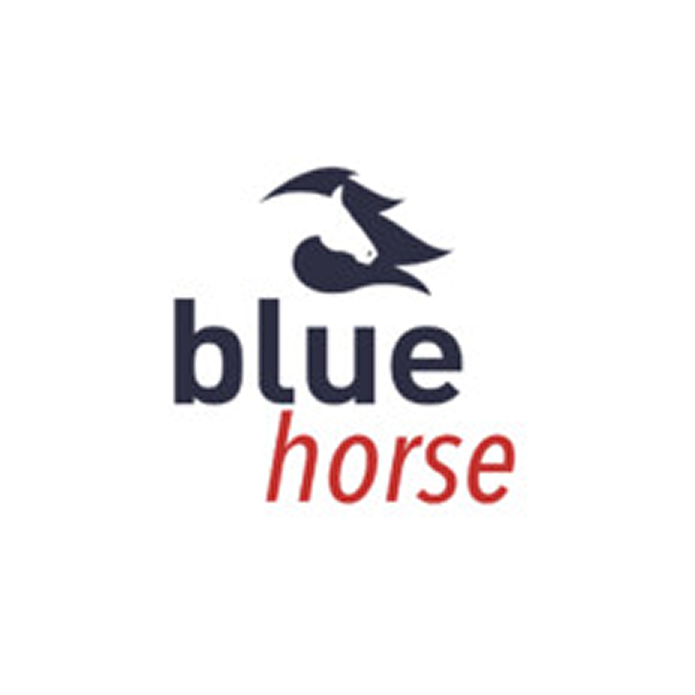 Blue Horse Group